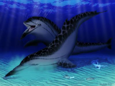 Skimmer Porpoise Reconstruction