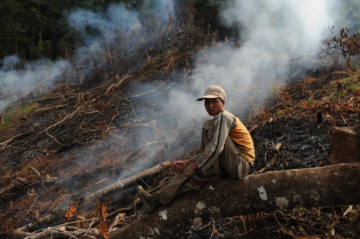 Deforestation in the Mekong