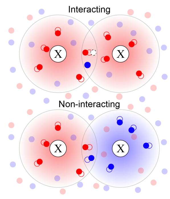 phase-space-filling-image-eurekalert-science-news-releases