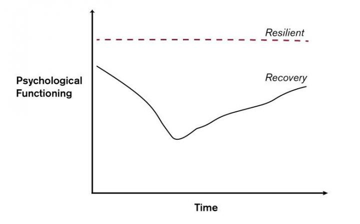 Responses to Adversity