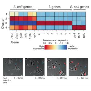 Examination of bacteria through M3-seq