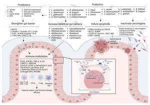 Evidence on the anti-cancer effects of probiotics for colorectal cancer treatment is growing rapidly.