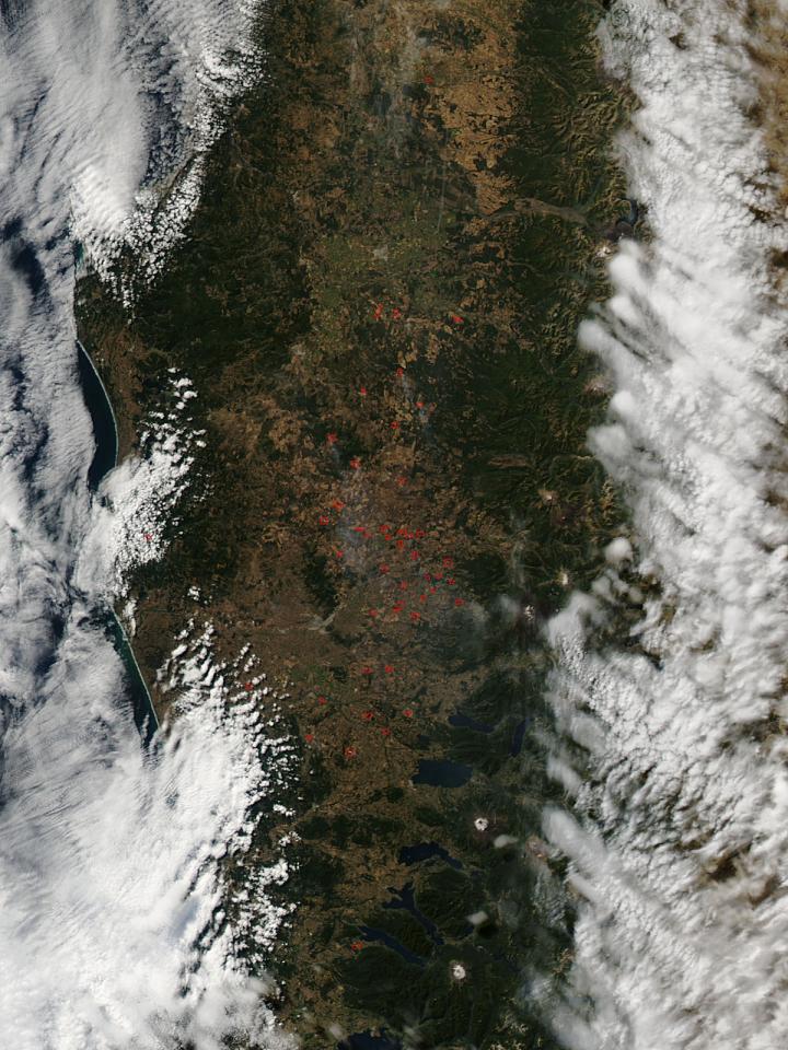 Chile Declares Forest Fires Alerts