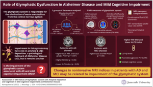 Basic concepts of the proposed MRI measures for indirect noninvasive evaluation of glymphatic system compartments in healthy and pathological states.