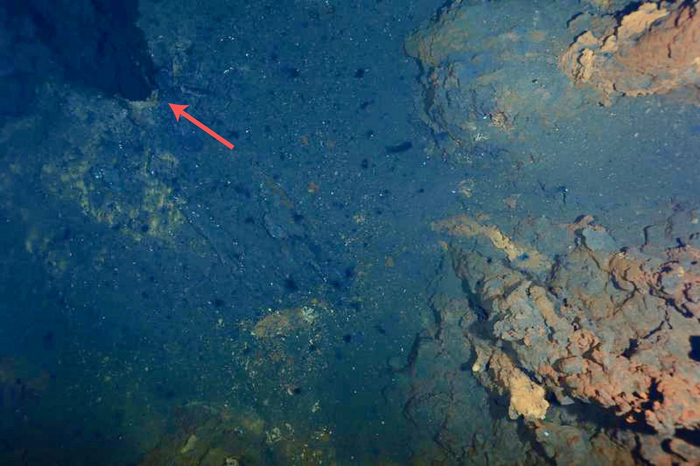 Hydrothermal vents at Gakkel Ridge