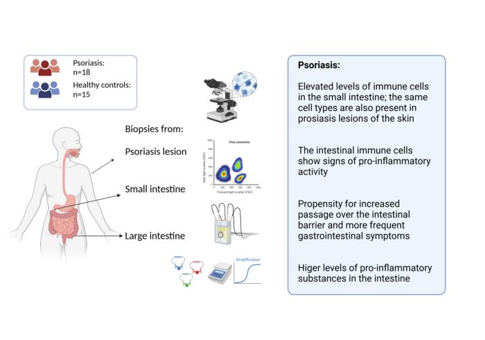 Illustration psoriasis