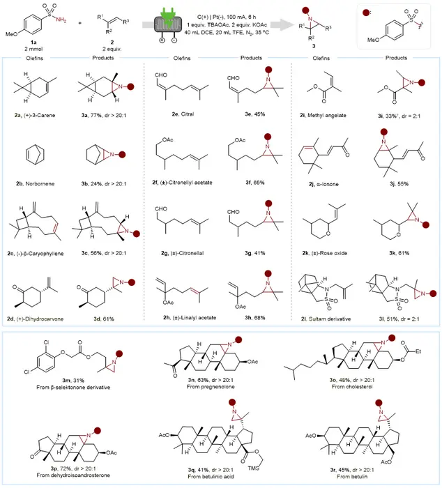 Scope of natural products or drug derivatives.