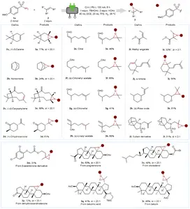 Scope of natural products or drug derivatives.