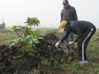 Rhino dung sampling in Kaziranga National Park, India