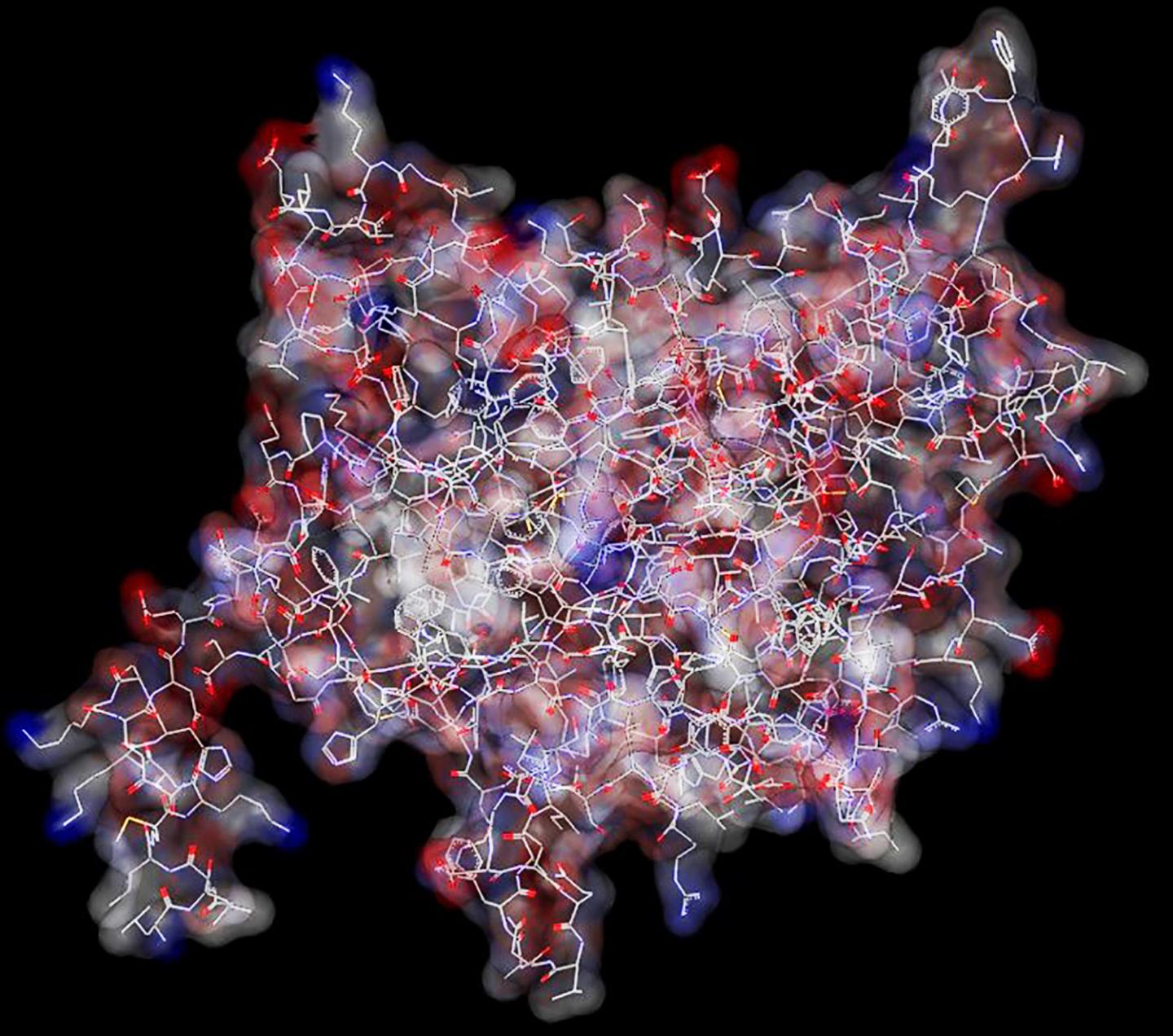 The Structure of the SHIP2 Phosphatase Domain