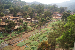 Peri-urban Freetown Sierra Leone