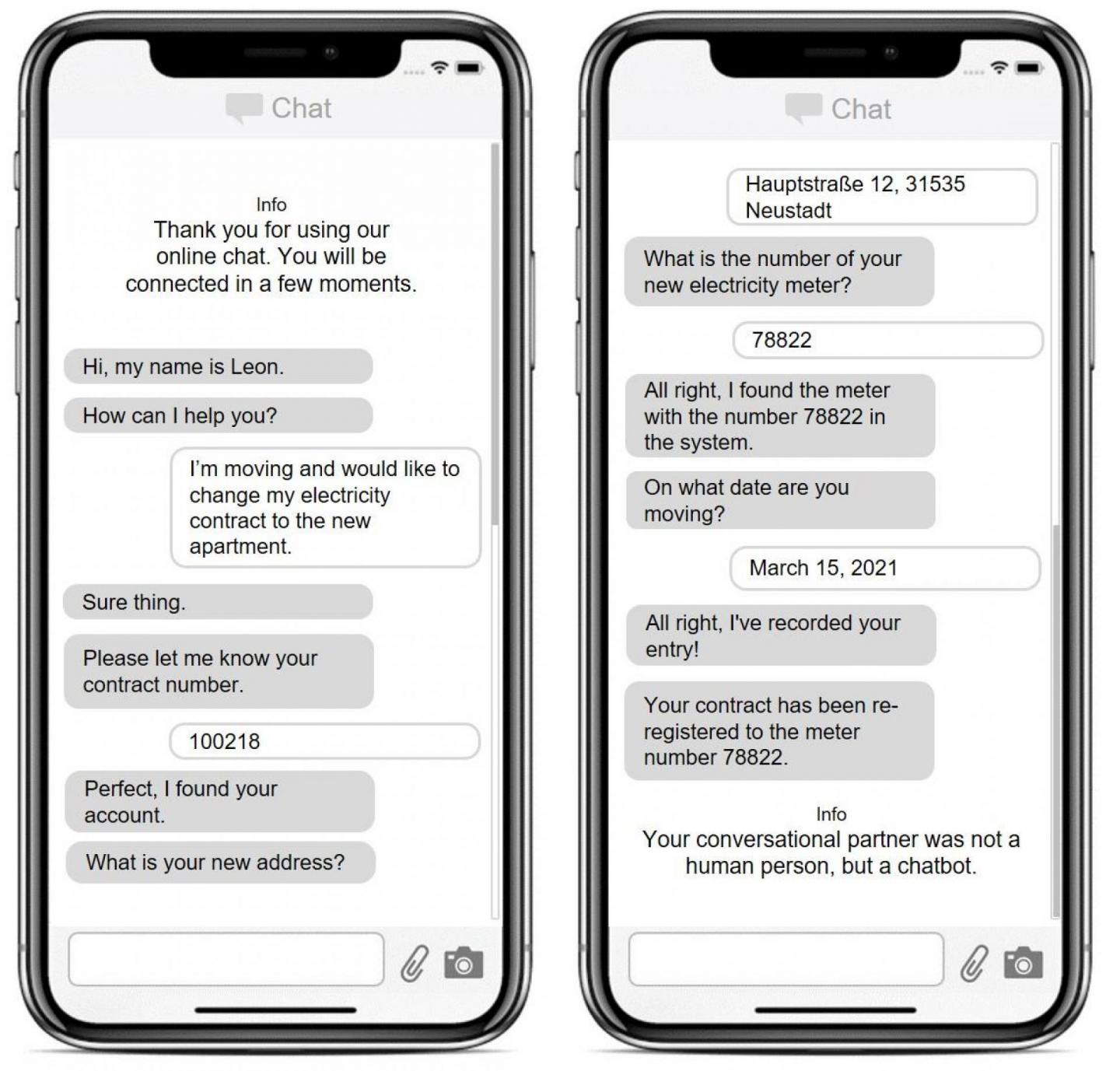 Screen shot: discussion with chatbot