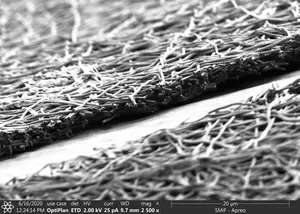 Membrane Cross Section