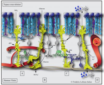 Portrait of a Killer
