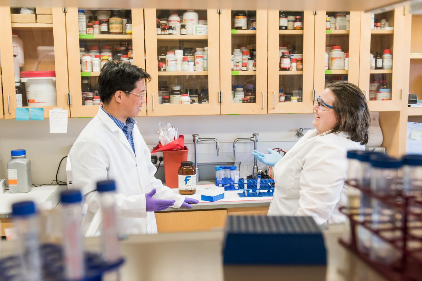 UMBC Cancer Research