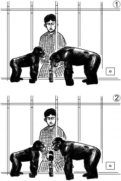 Drawings of 2 Experimental Conditions