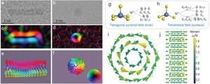 Stripe-vortex coupled magnetic order of the NiS nanorod.