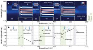 Figure 2 | All-optical switching among four phase-defined regimes.