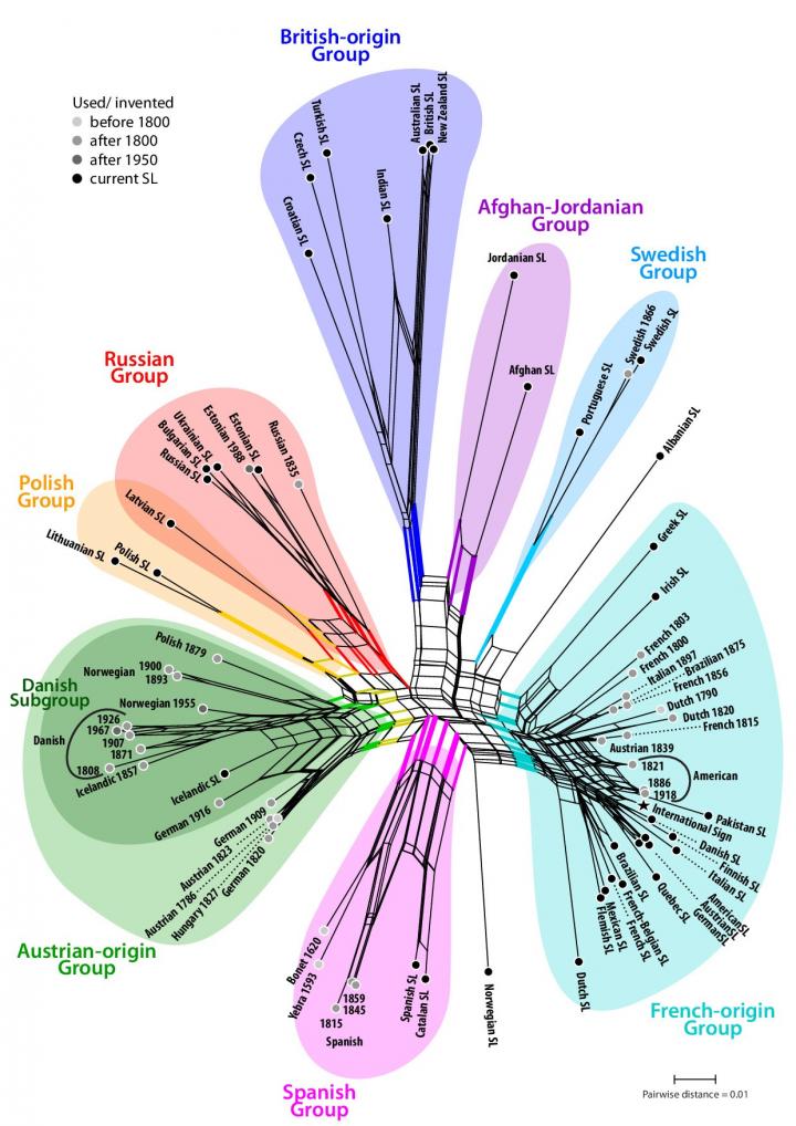 Major Lineages Detected by the Network Approaches