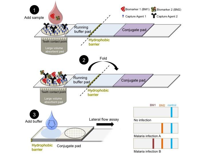 Illustration of Origami Detector Design