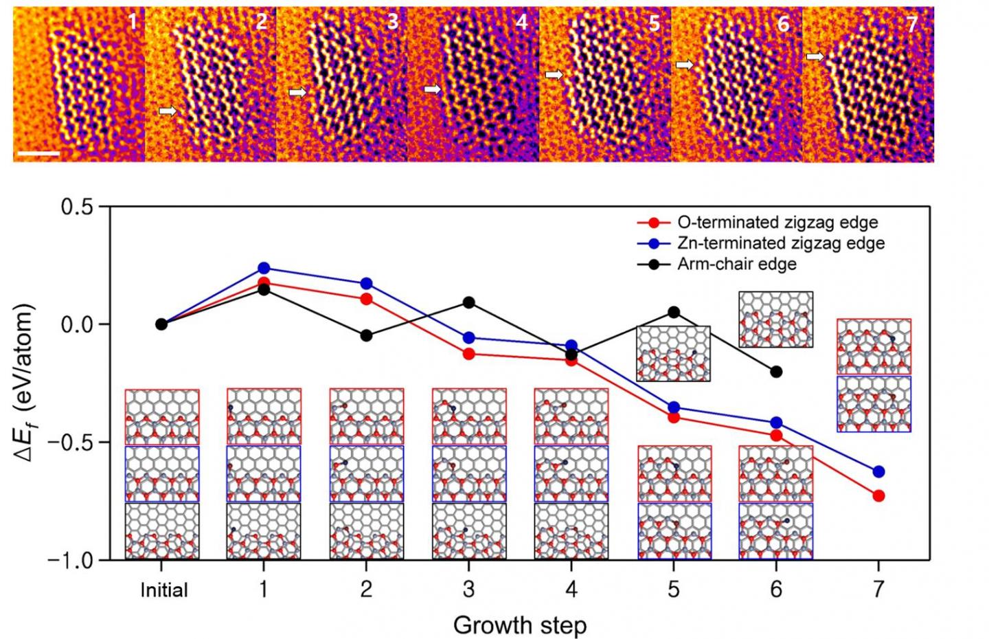 Growth of ZnO Monolayer
