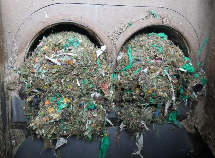 Plastic Residue Being Filtered out of Food Waste