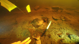 A substantial sherd of Early Neolithic pottery, as found on the loch bed at Loch Bhogastail