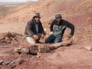 Roger Smith and Sibusisu Mtungata who together recovered the skull and most of the skeleton of what is now the type specimen of Gaiasia jennyae