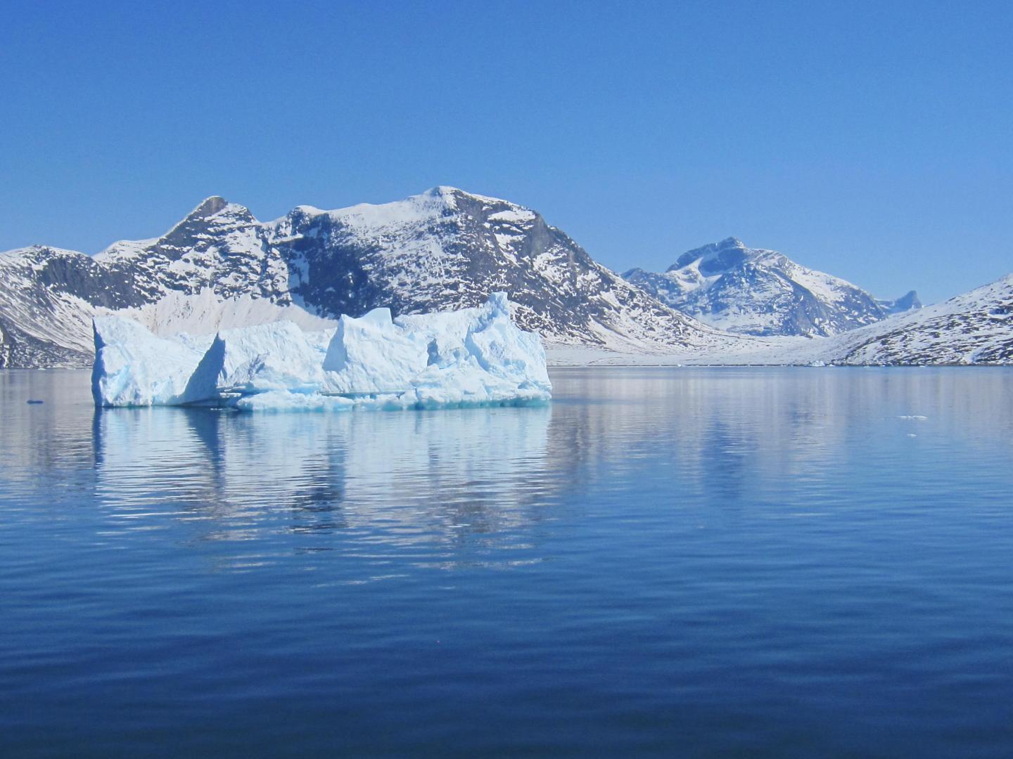 Icebergs off Southwest Greenland