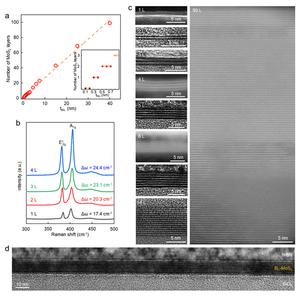 Figure 4: Precise control of TMD layer thickness using Hypotaxy by adjusting the thickness of the deposited transition metal.