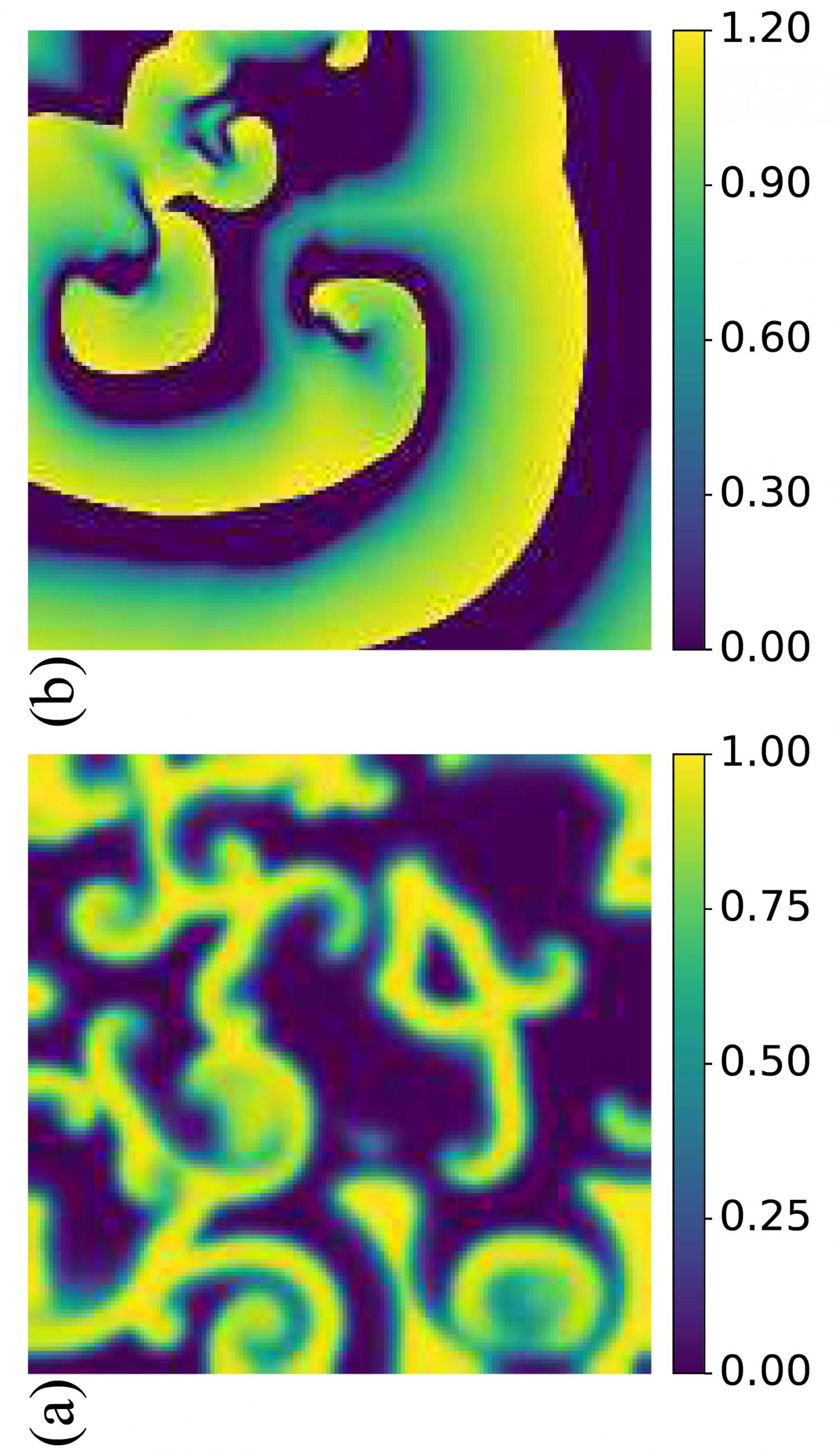 Snapshots of the Dynamics of the (a) Barkley model and (b) Bueno-Orovio-Cherry-Fenton (BOCF) Model