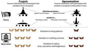 Crypsis and aposematism graph