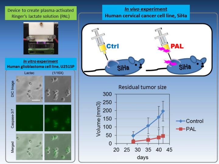 Plasma Activated Ringer's Lactate Solution Exhibited Anti-Tumor Effects in vitro and in vivo