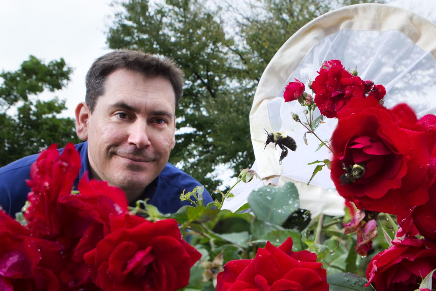 Robert Gegear, Worcester Polytechnic Institute