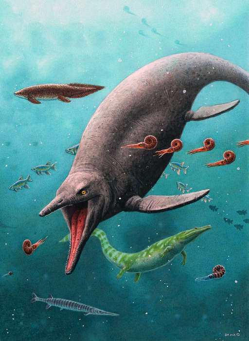 Reconstruction of earliest ichthyosaur