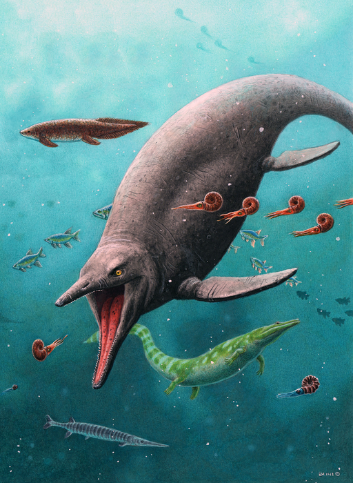 permian sea animals