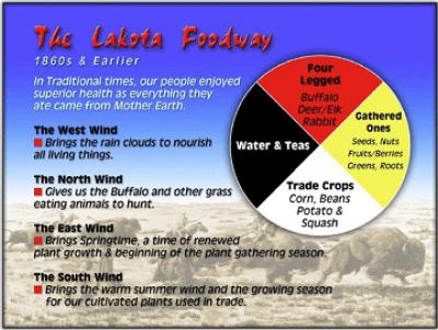 Medicine wheel model for nutrition shows prom | EurekAlert!