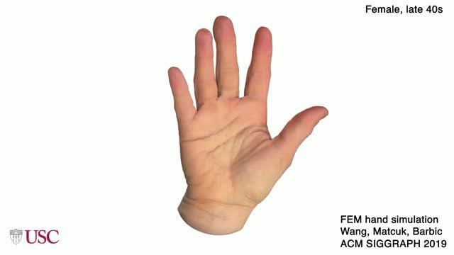 Demo of Hand Model Created by USC Computer Scientists