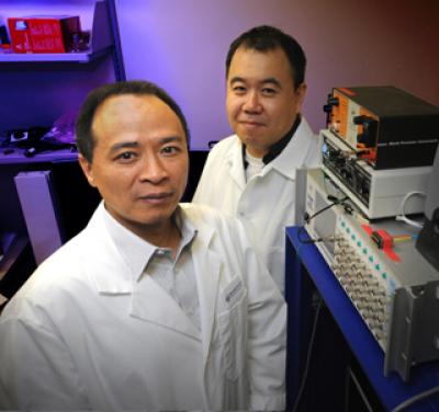 Drs. Joe Z. Tsien and Lei Phillip Wang, Georgia Health Sciences University