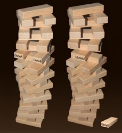 A Single Mutation Causes Instability in the Genome