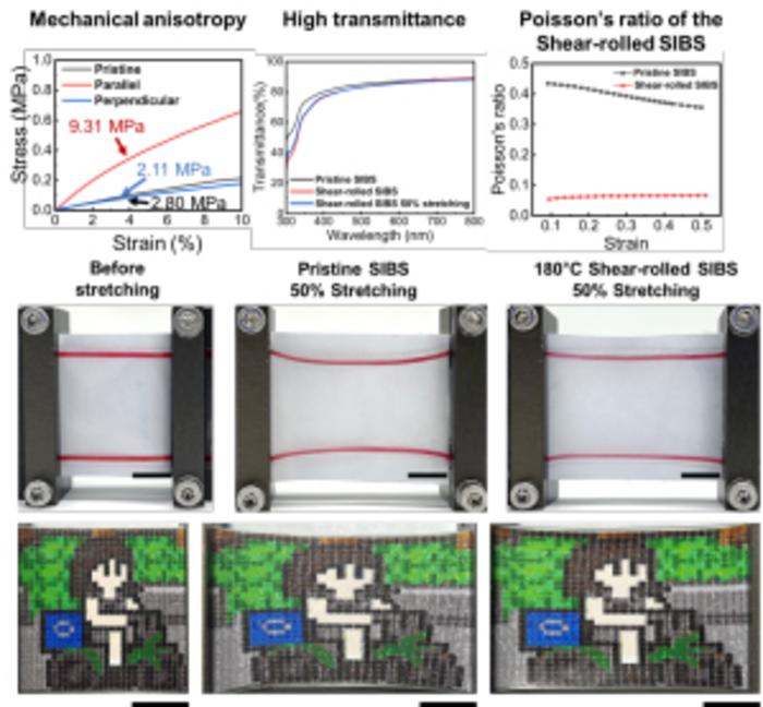 [Figure 4]