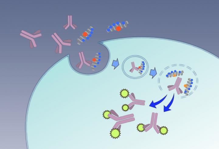 Macromolecules via Spider's 'Bite'