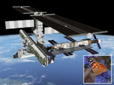 International Space Station