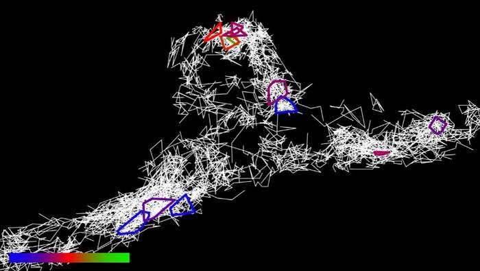 Tau clusters in a live neuron