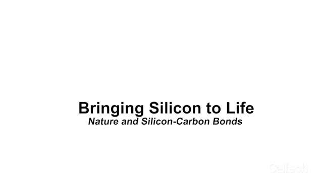 Bringing Carbon-Silicon Bonds to Life