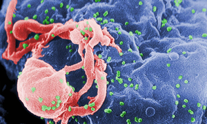 Two phases of viral decline, now understood more clearly