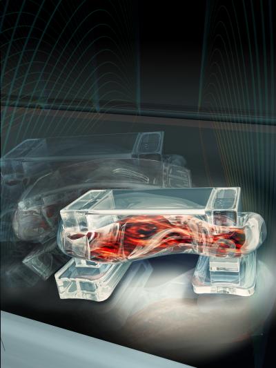 Muscle-Powered Bio-Bots