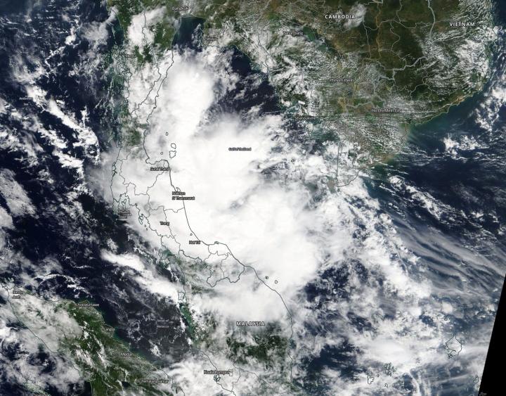 Terra Image of Toraji