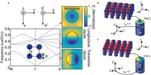 Figure 2 | Fundamental physics of DCZIMs.