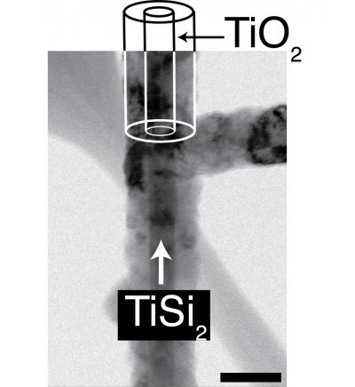 Microscopic View of Titanium Nanostructure